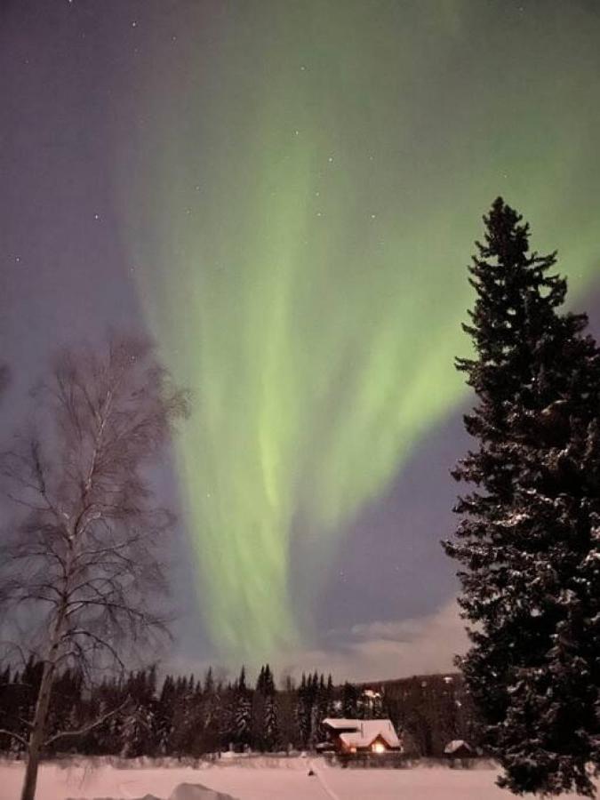 Life Is Better On The River Fairbanks Bagian luar foto